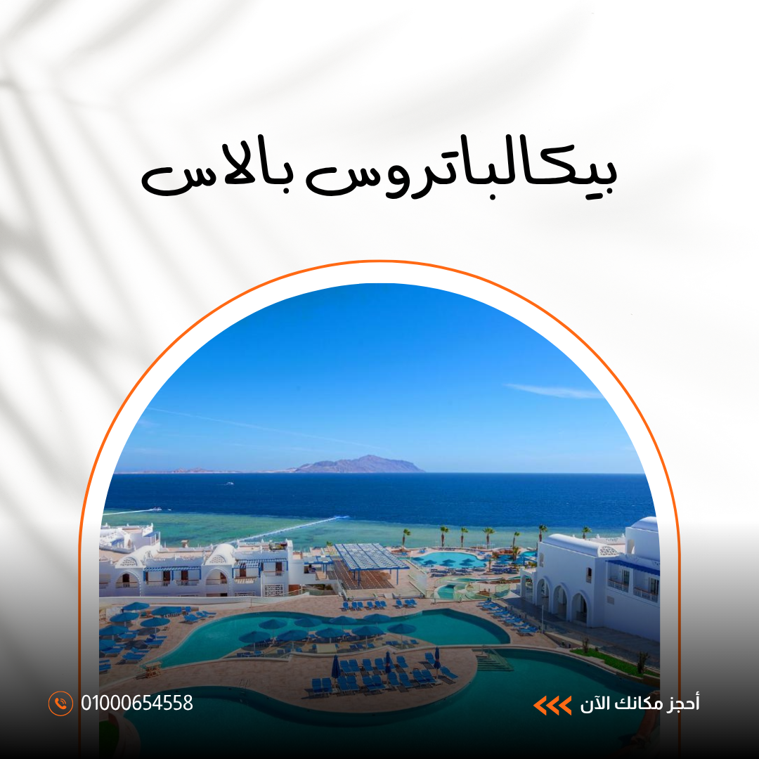 فندق بيكالباتروس بالاس الغردقة.. تجربة إقامة فاخرة على شواطئ البحر الأحمر 2026