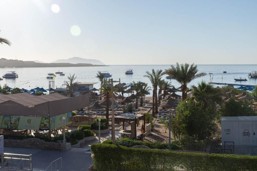 صورة الفندق 1