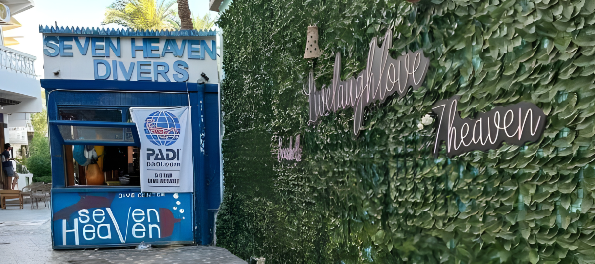 صورة الفندق 1