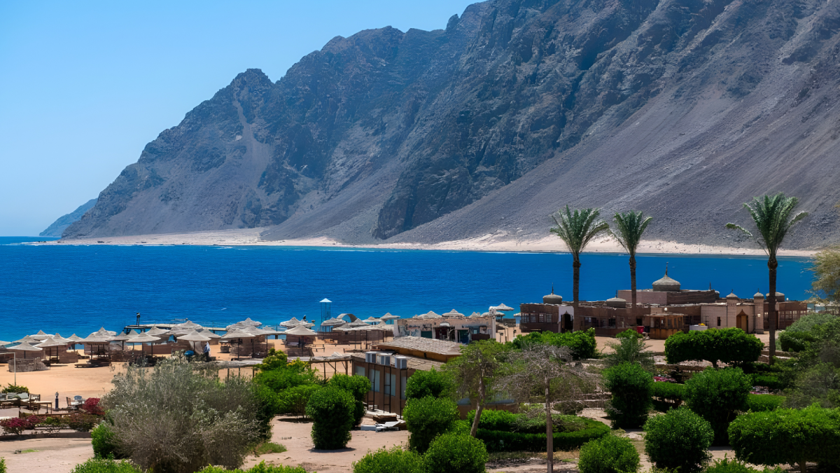 صورة الفندق 1