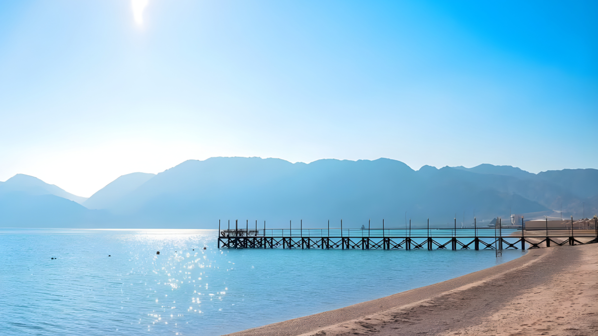 صورة الفندق 5