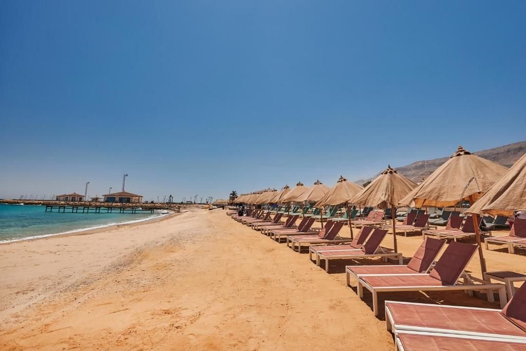 صورة الفندق 12